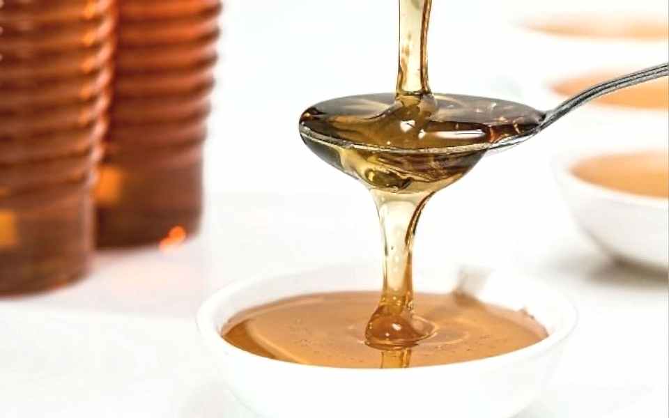 TARİH ÖNCESİ BİR DOST ‘’BAL’’