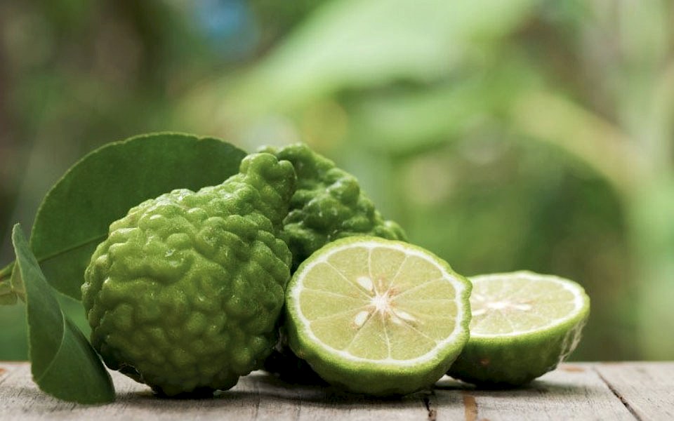 GİZLİ BİR KAHRAMAN: BERGAMOT