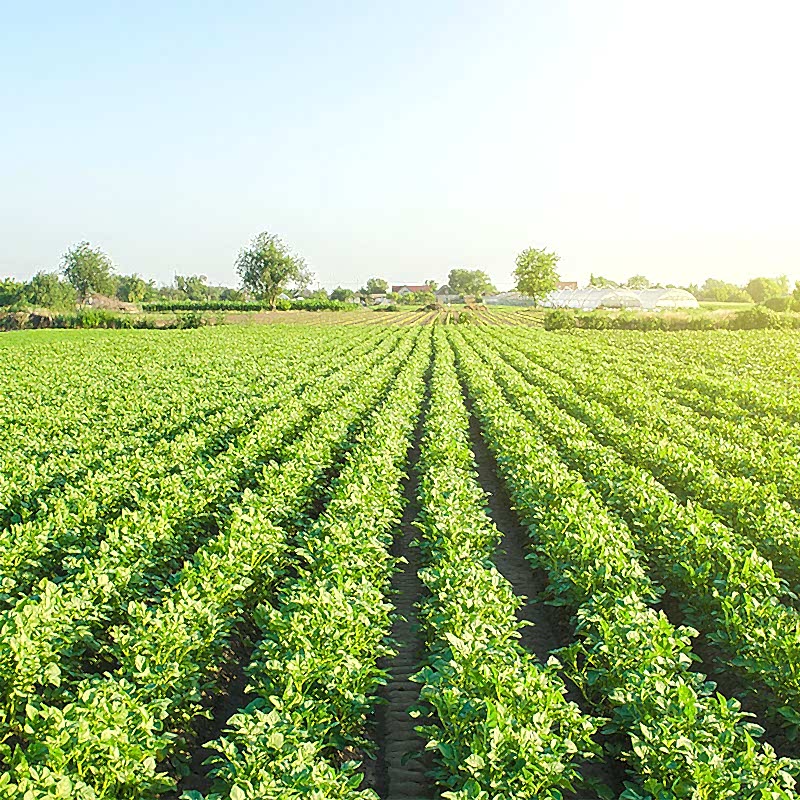 İyi Tarım Uygulamaları