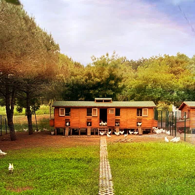 Organik Ürün Belgesi