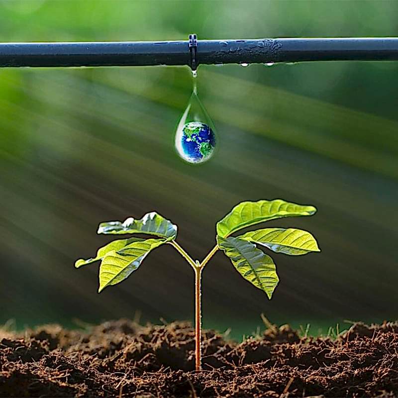 Damla Sulama Sistemi